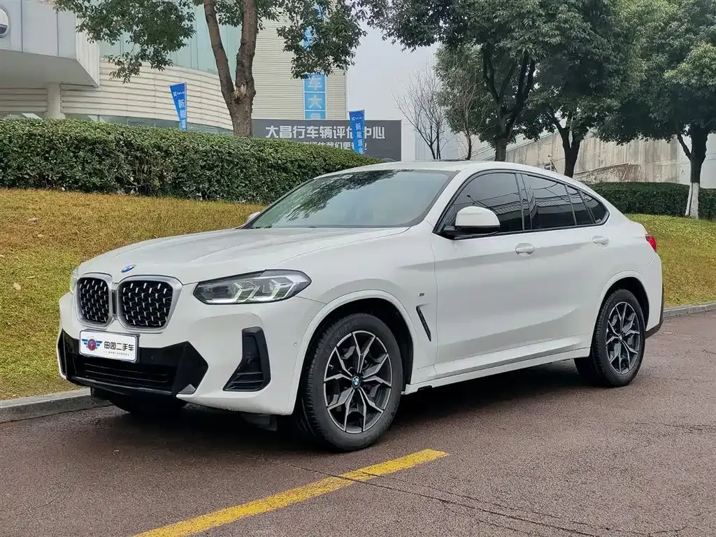 BMW X4 2022 из CN, фото 1