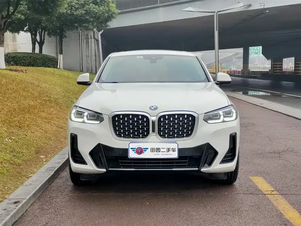 BMW X4 2022 из CN, фото 8