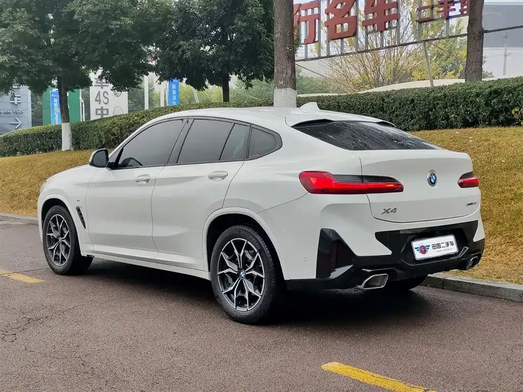 BMW X4 2022 из CN, фото 10