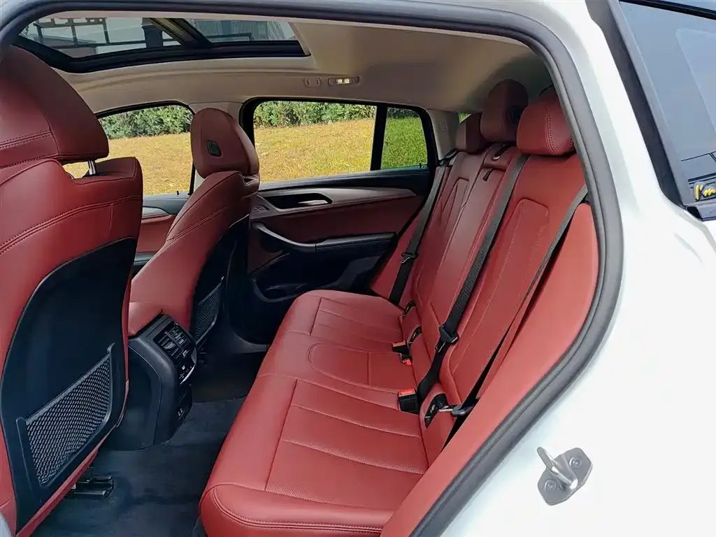 BMW X4 2022 из CN, фото 6