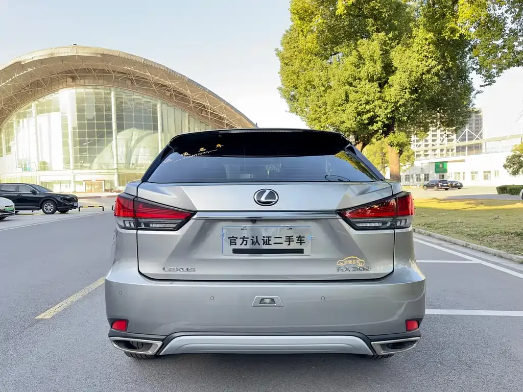 Lexus RX 2022 из CN, фото 4