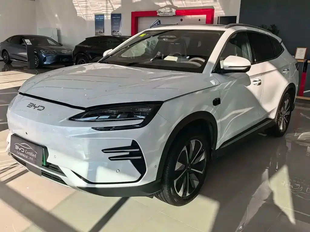 BYD PLUS New Energy — фото 1