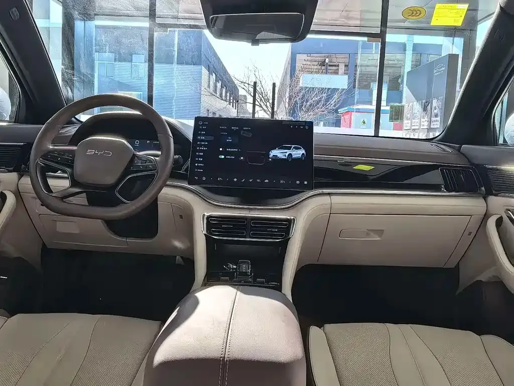 BYD PLUS New Energy — фото 10