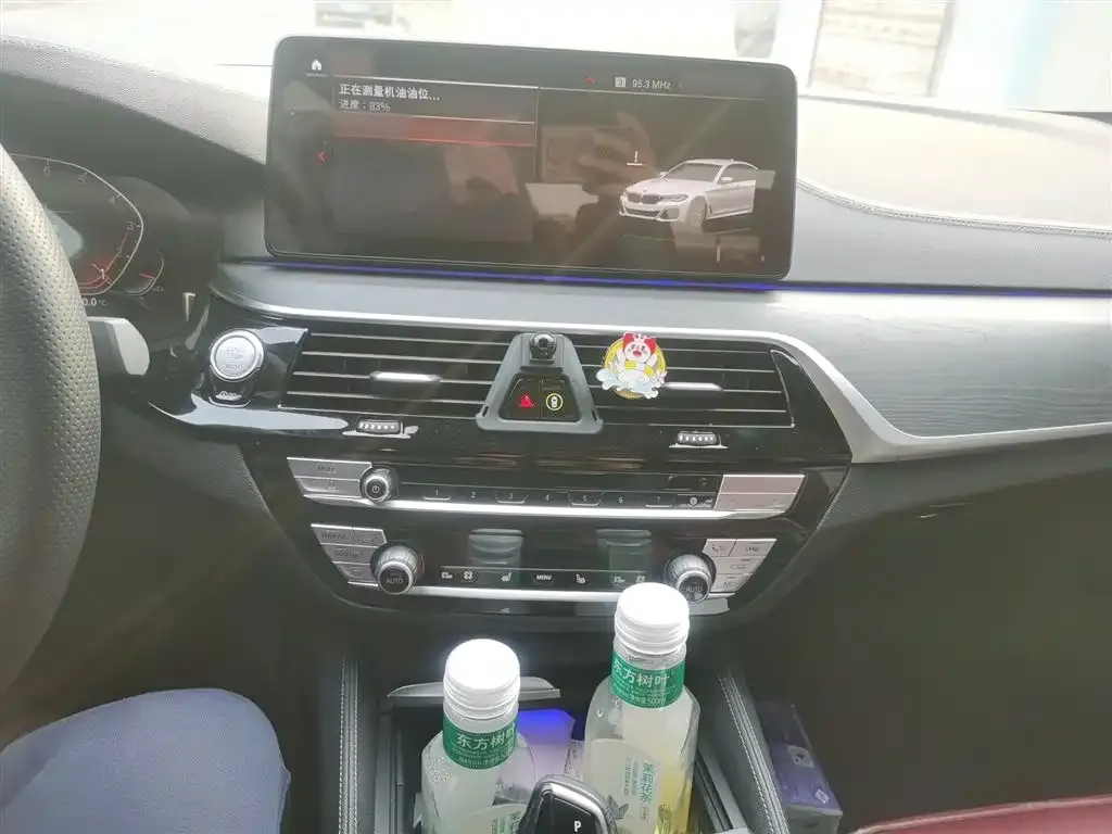 BMW 5 Series 2022 из CN, фото 9