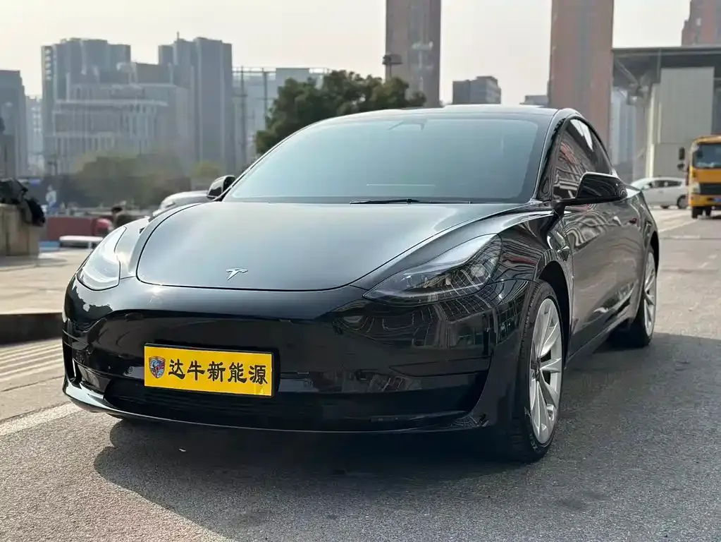 Tesla Model 3 2021 из CN, фото 1
