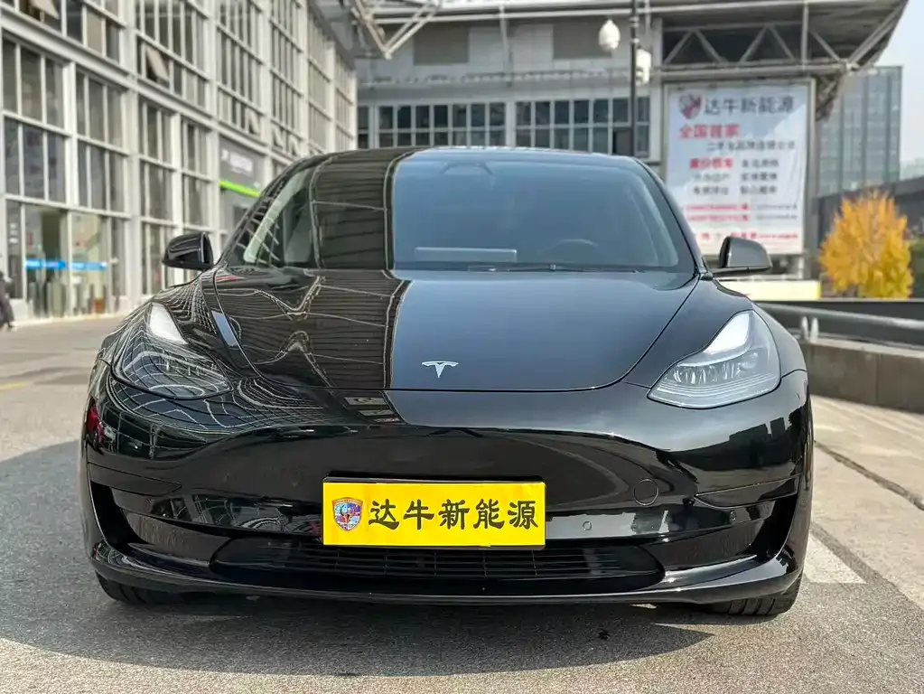 Tesla Model 3 2021 из CN, фото 2