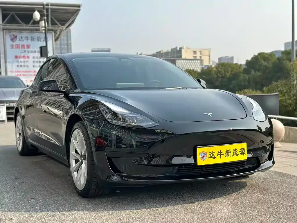 Tesla Model 3 2021 из CN, фото 3