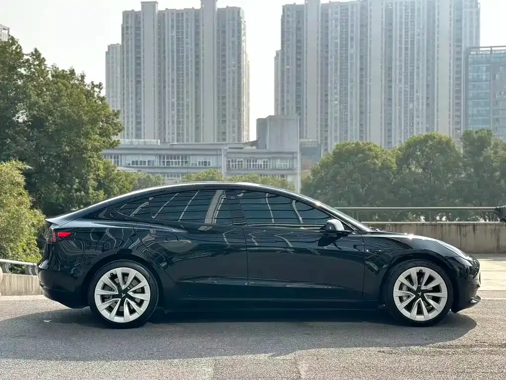 Tesla Model 3 2021 из CN, фото 5