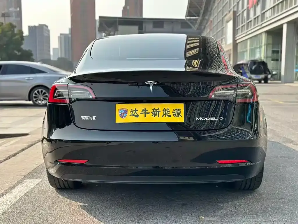 Tesla Model 3 2021 из CN, фото 6