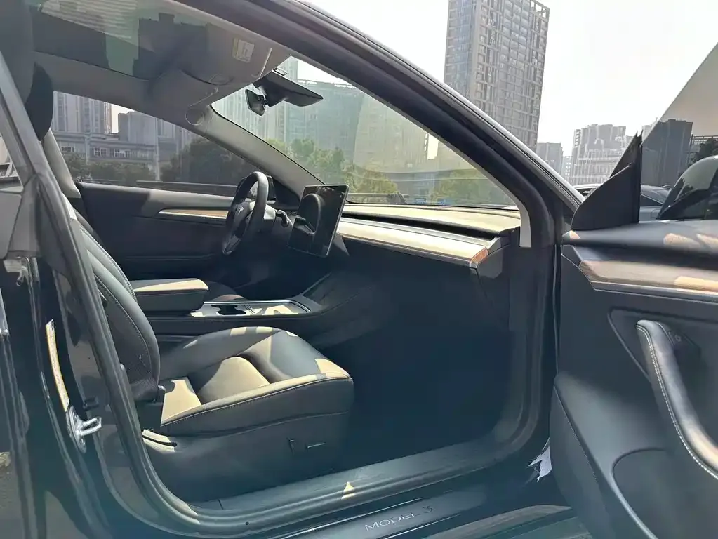 Tesla Model 3 2021 из CN, фото 9