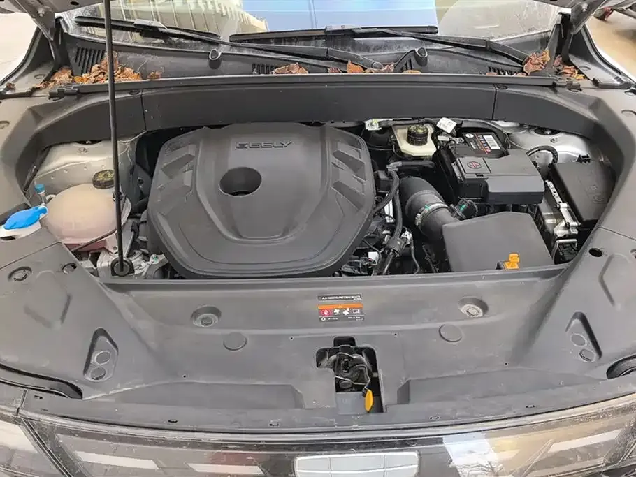 Geely Boyue L 2022 из CN, фото 6