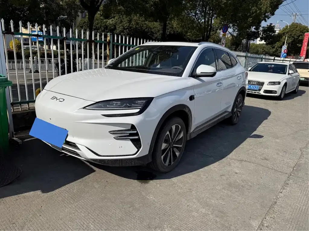 BYD PLUS New Energy 2025 из CN, фото 1