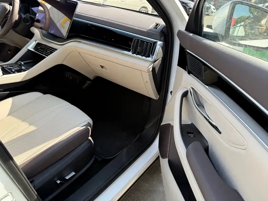 BYD PLUS New Energy 2025 из CN, фото 4