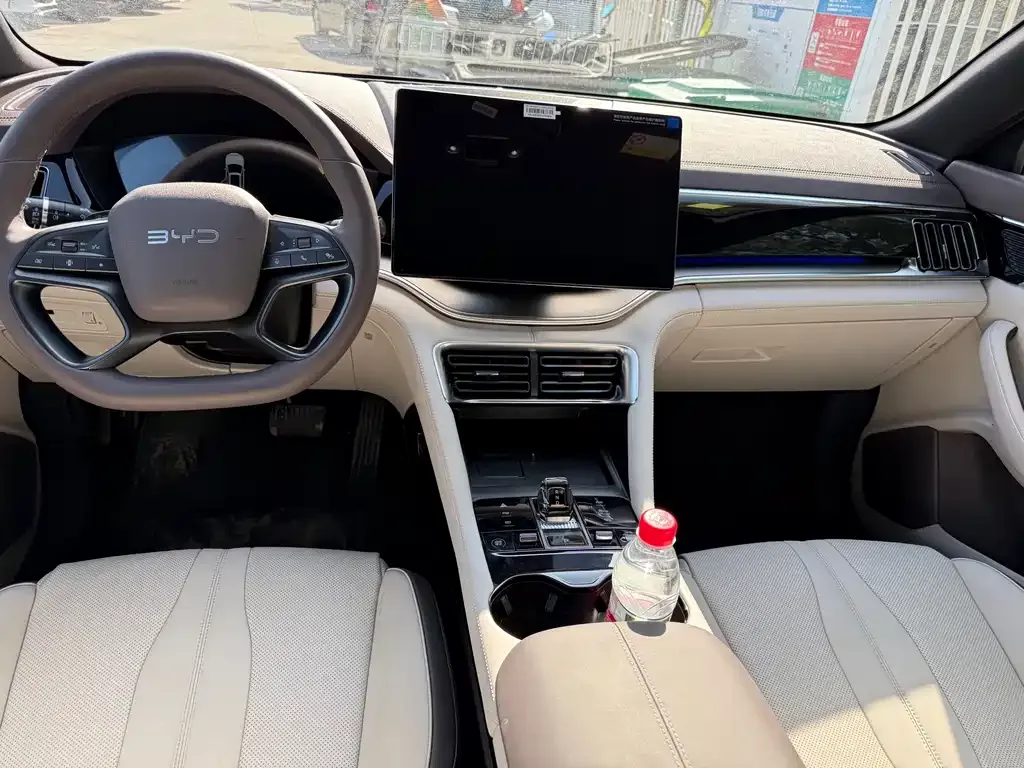 BYD PLUS New Energy 2025 из CN, фото 2