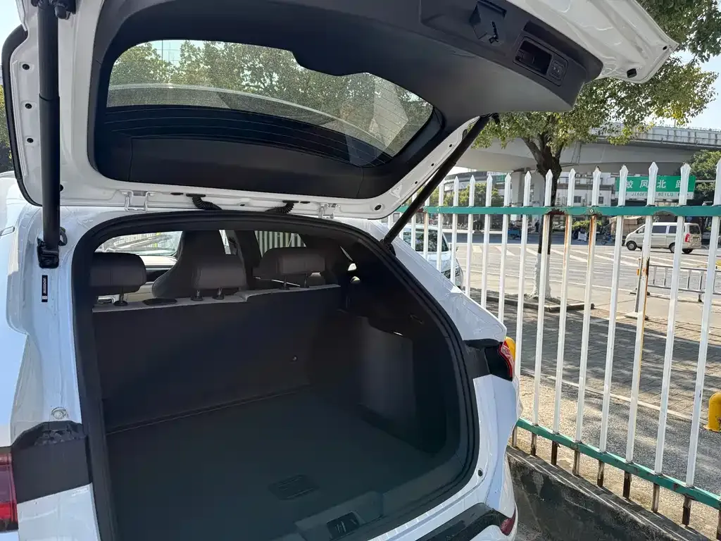 BYD PLUS New Energy 2025 из CN, фото 7
