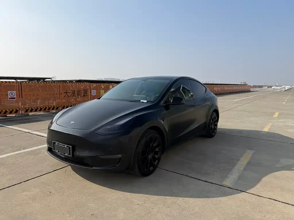 Tesla Model Y 2021 из CN, фото 1