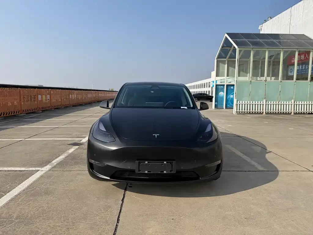 Tesla Model Y 2021 из CN, фото 9