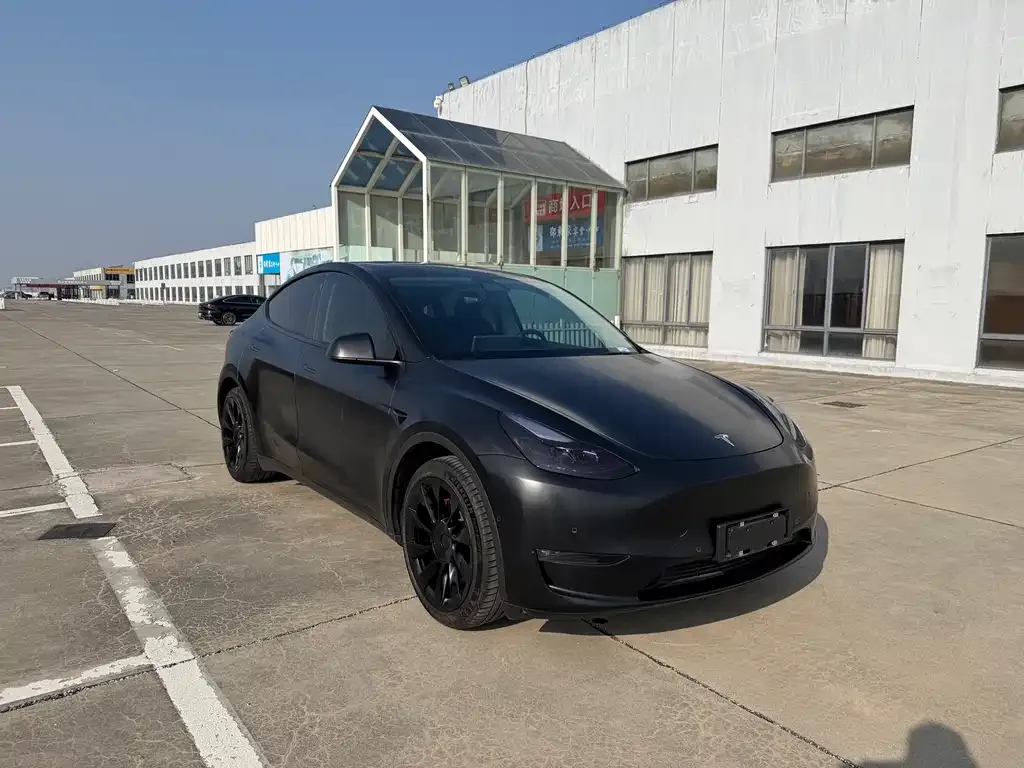 Tesla Model Y 2021 из CN, фото 7
