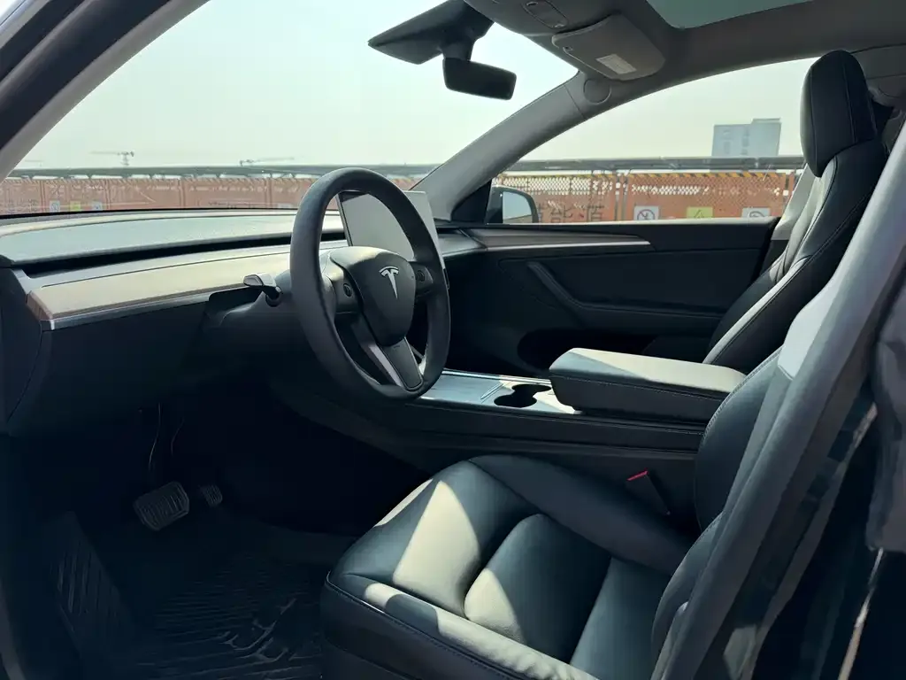 Tesla Model Y 2021 из CN, фото 3