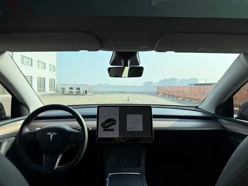 Tesla Model Y 2021 из CN, фото 4
