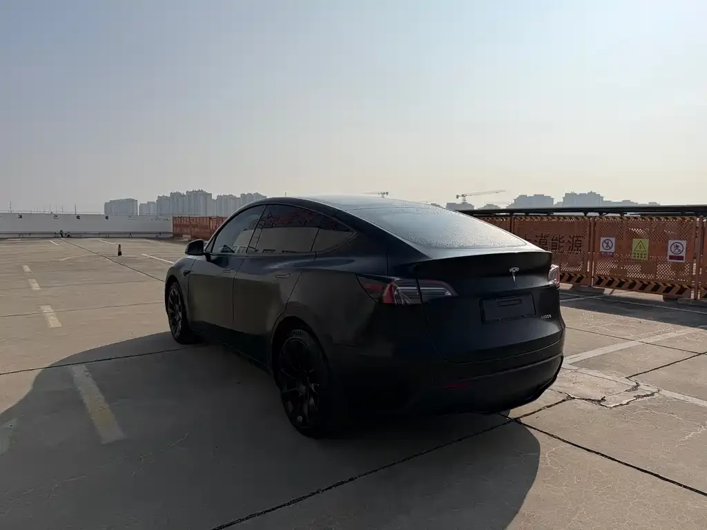 Tesla Model Y 2021 из CN, фото 5