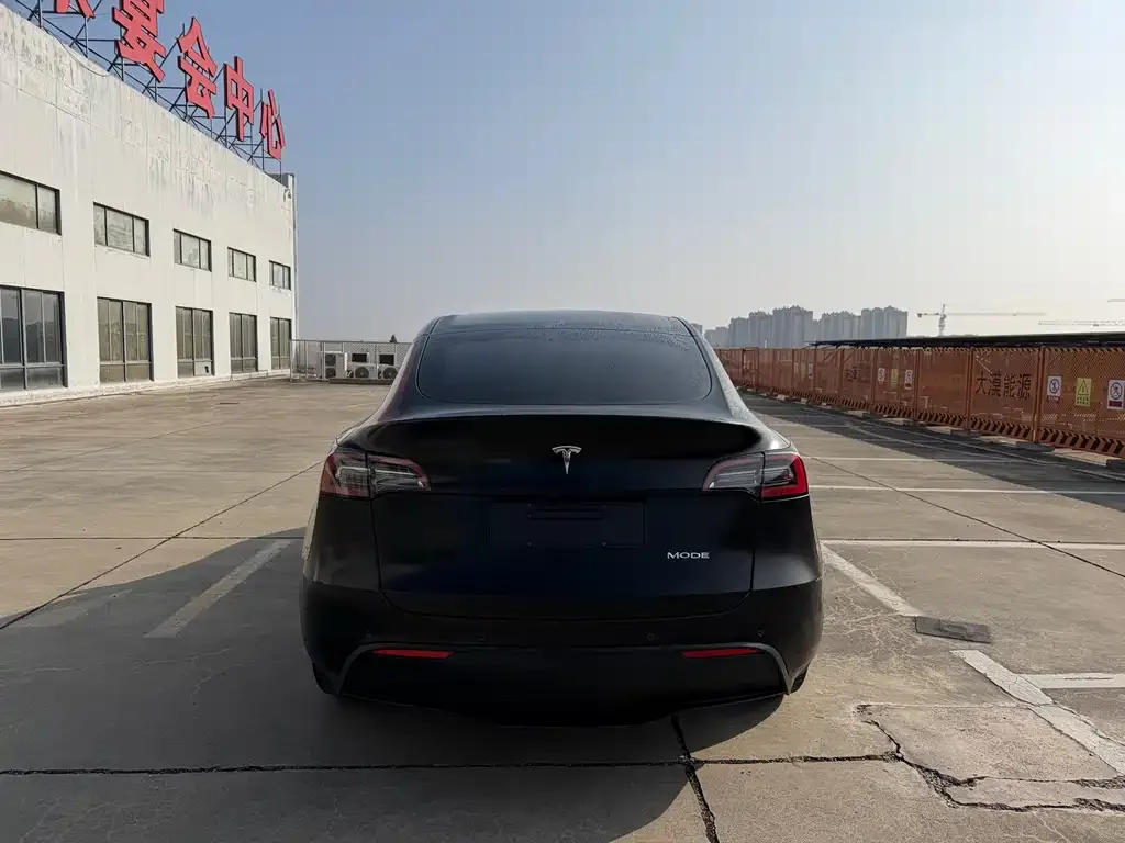 Tesla Model Y 2021 из CN, фото 6