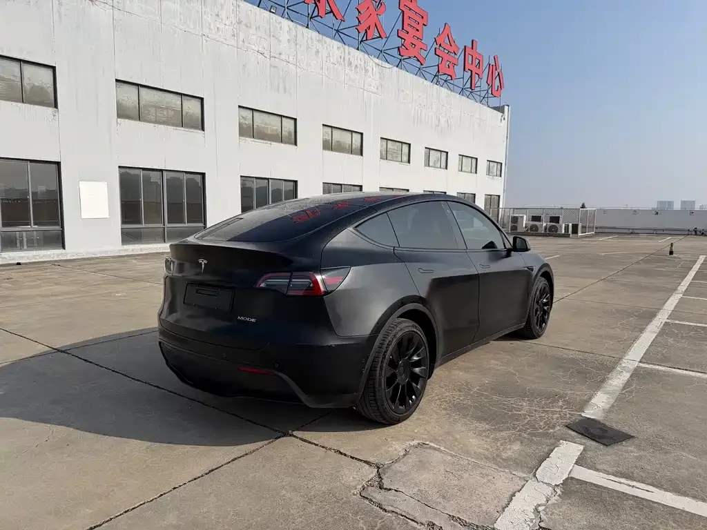 Tesla Model Y 2021 из CN, фото 8