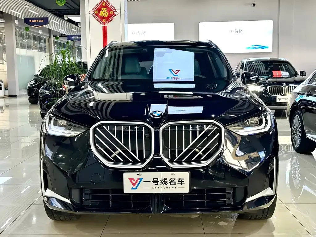 BMW X3 2025 из CN, фото 6