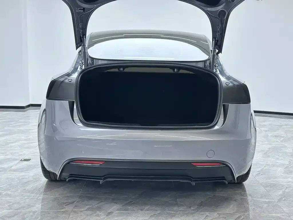 Tesla Model 3 2025 из CN, фото 6