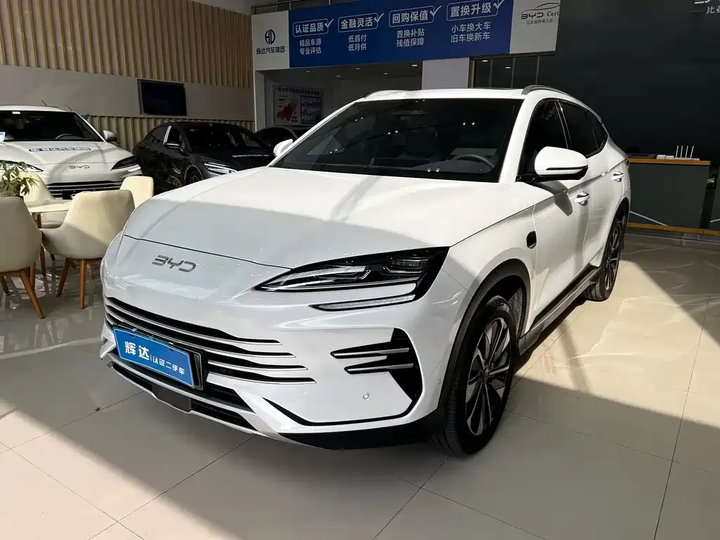 BYD PLUS New Energy 2025 из CN, фото 1