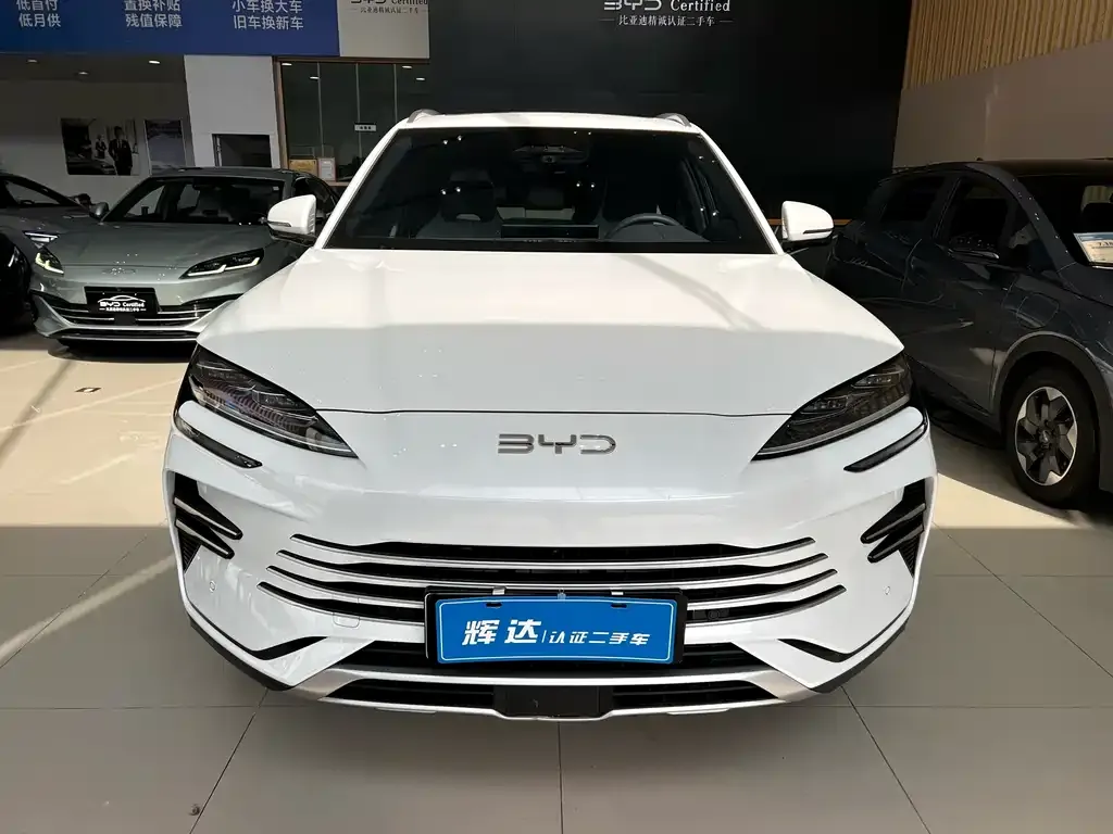 BYD PLUS New Energy 2025 из CN, фото 7