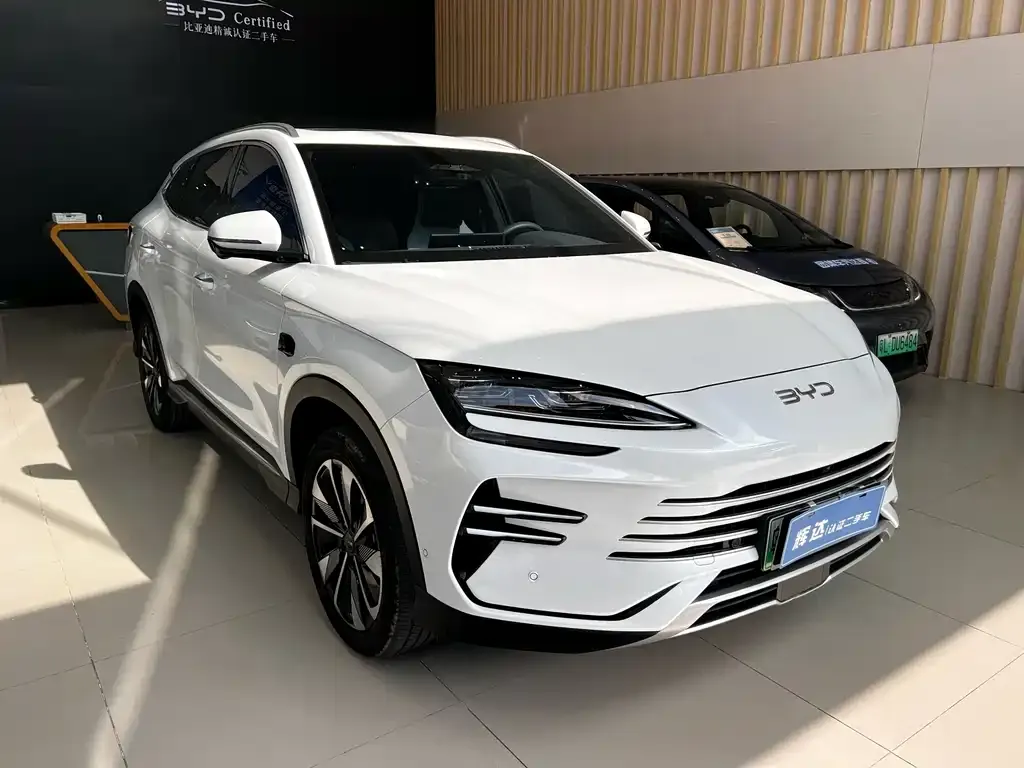 BYD PLUS New Energy 2025 из CN, фото 8