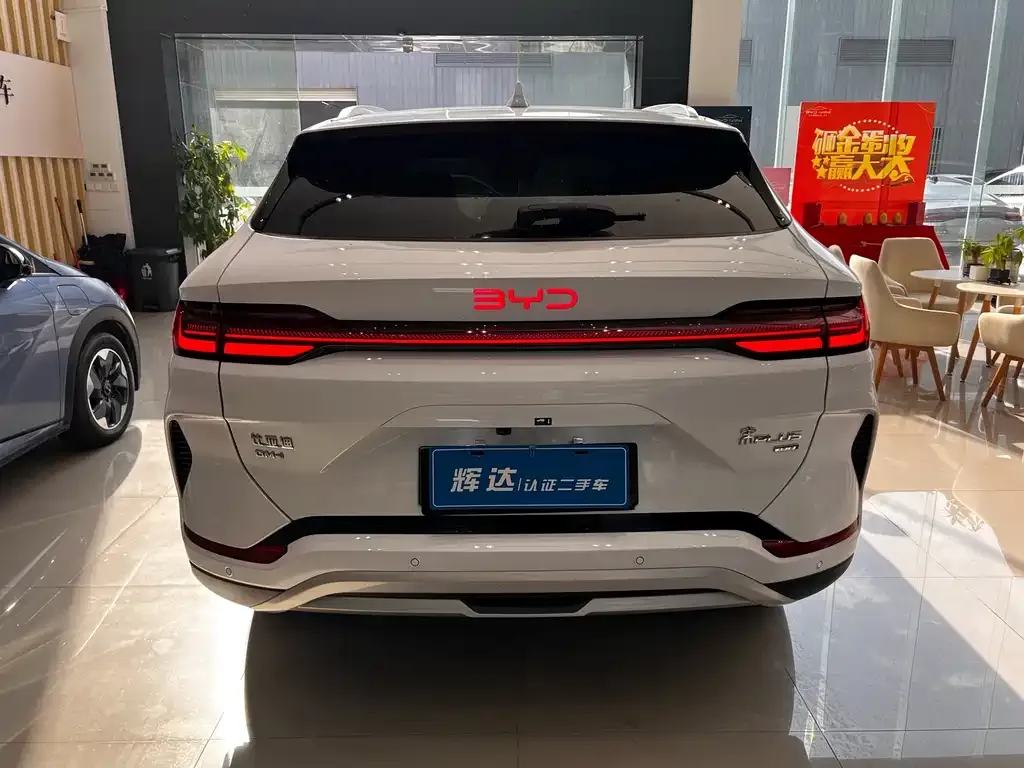 BYD PLUS New Energy 2025 из CN, фото 2