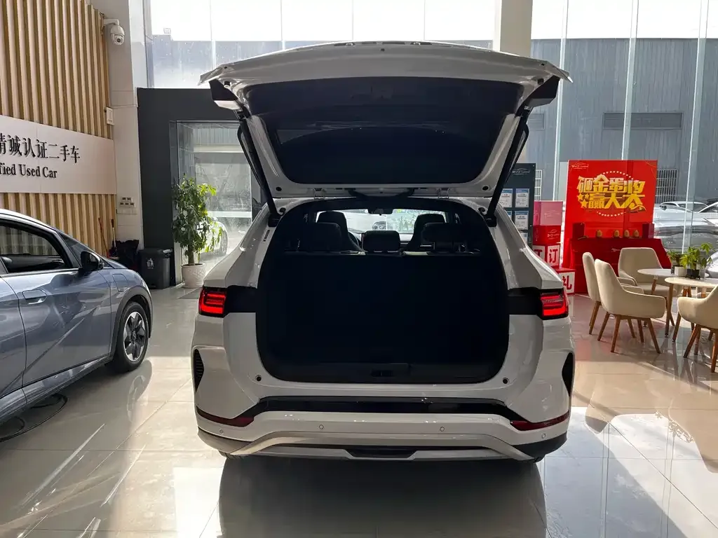 BYD PLUS New Energy 2025 из CN, фото 9