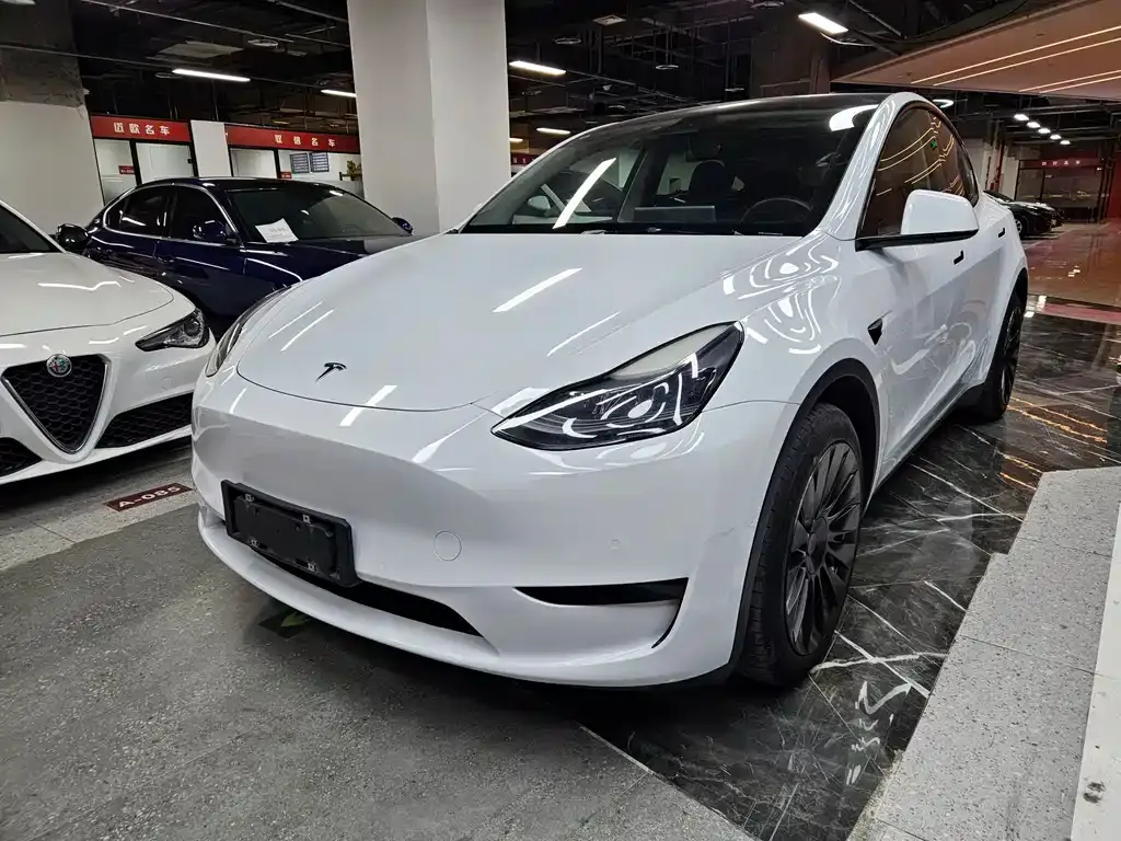Tesla Model Y 2022 из CN, фото 1
