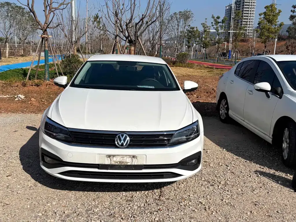 Volkswagen Lamando 2021 из CN, фото 3