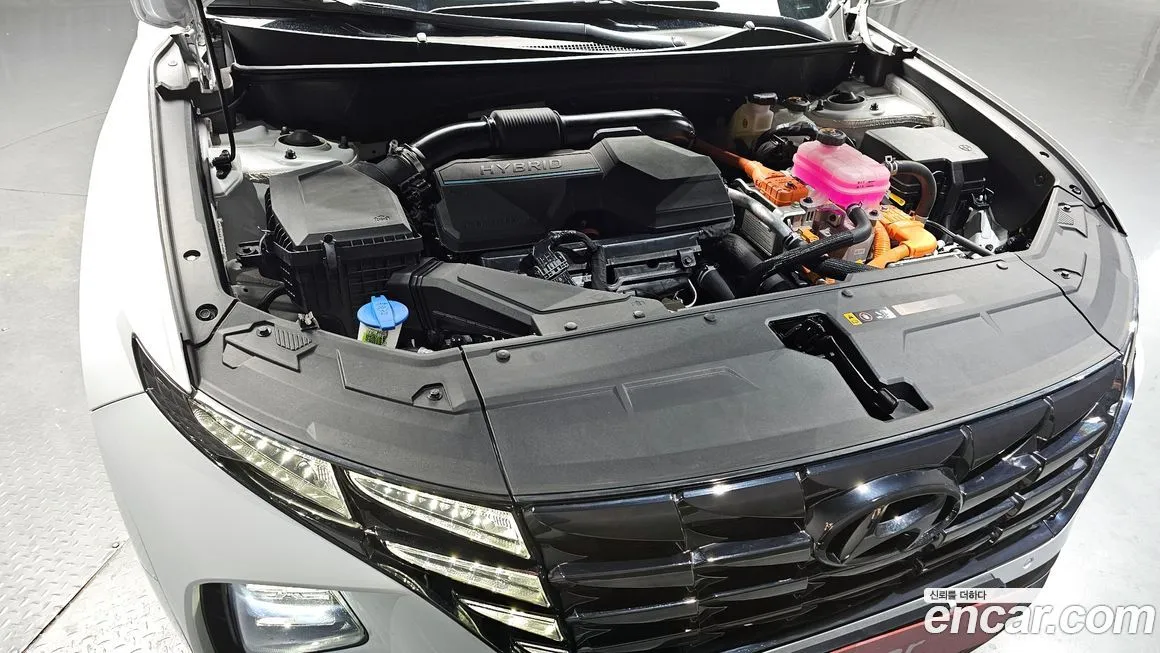 [object Object] Tucson 2023 из KR, фото 6