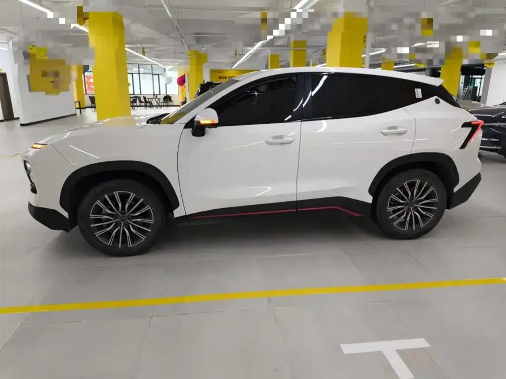 Jetour Dasheng 2024 из CN, фото 8
