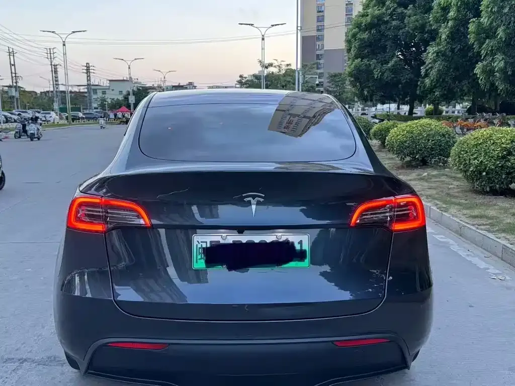 Tesla Model Y 2025 из CN, фото 4
