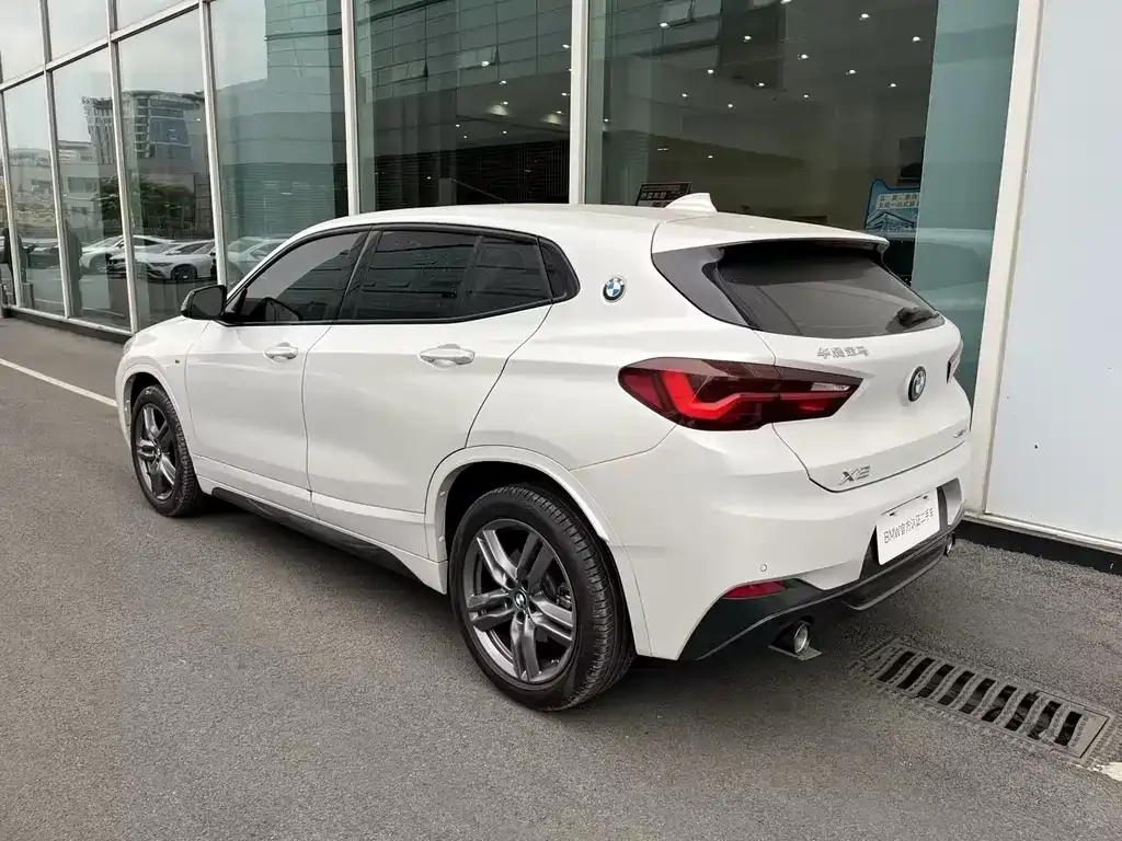 BMW X2 2023 из CN, фото 9
