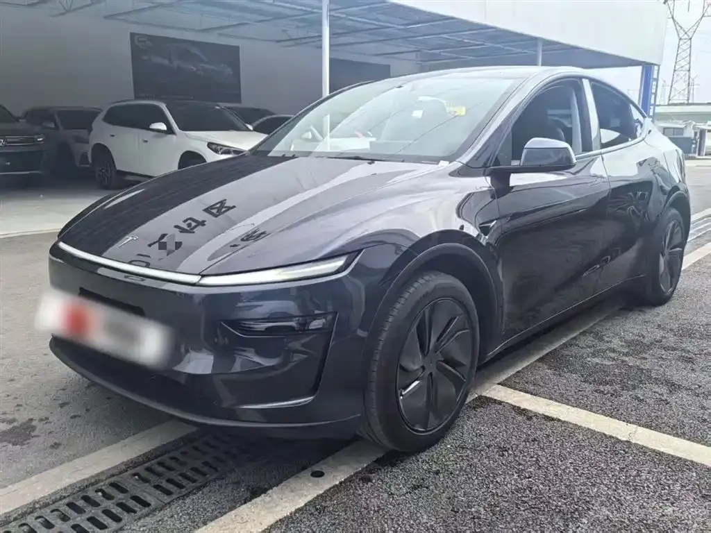Tesla Model Y 2025 из CN, фото 1