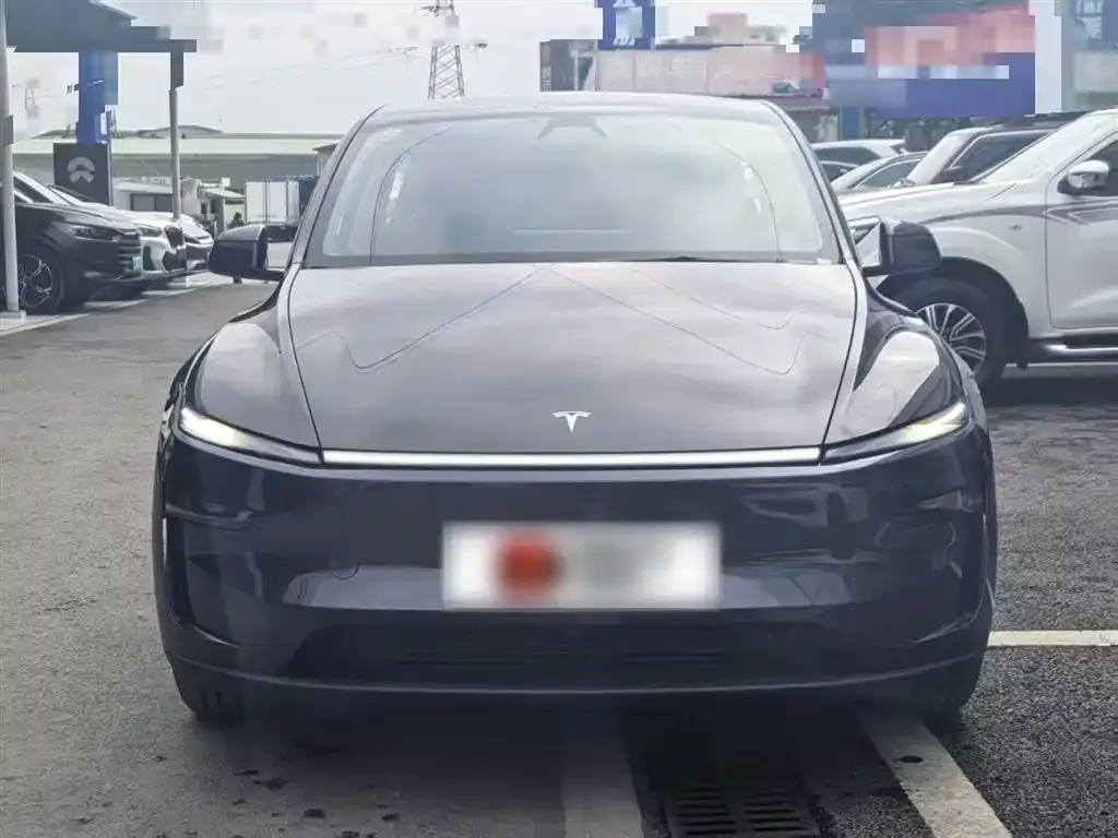 Tesla Model Y 2025 из CN, фото 2