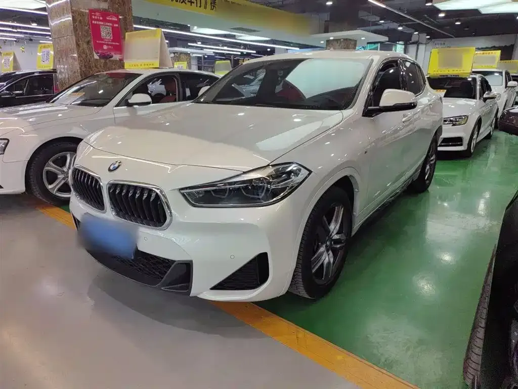 BMW X2 2021 из CN, фото 1
