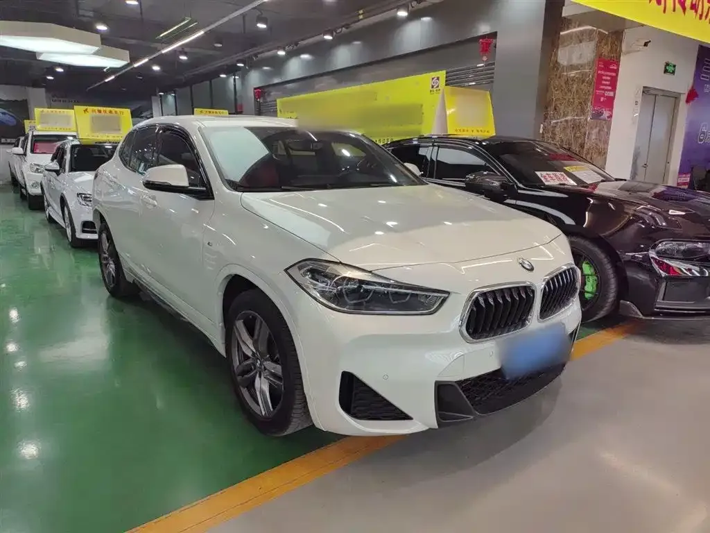 BMW X2 2021 из CN, фото 4