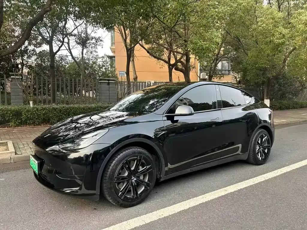Tesla Model Y 2022 из CN, фото 1