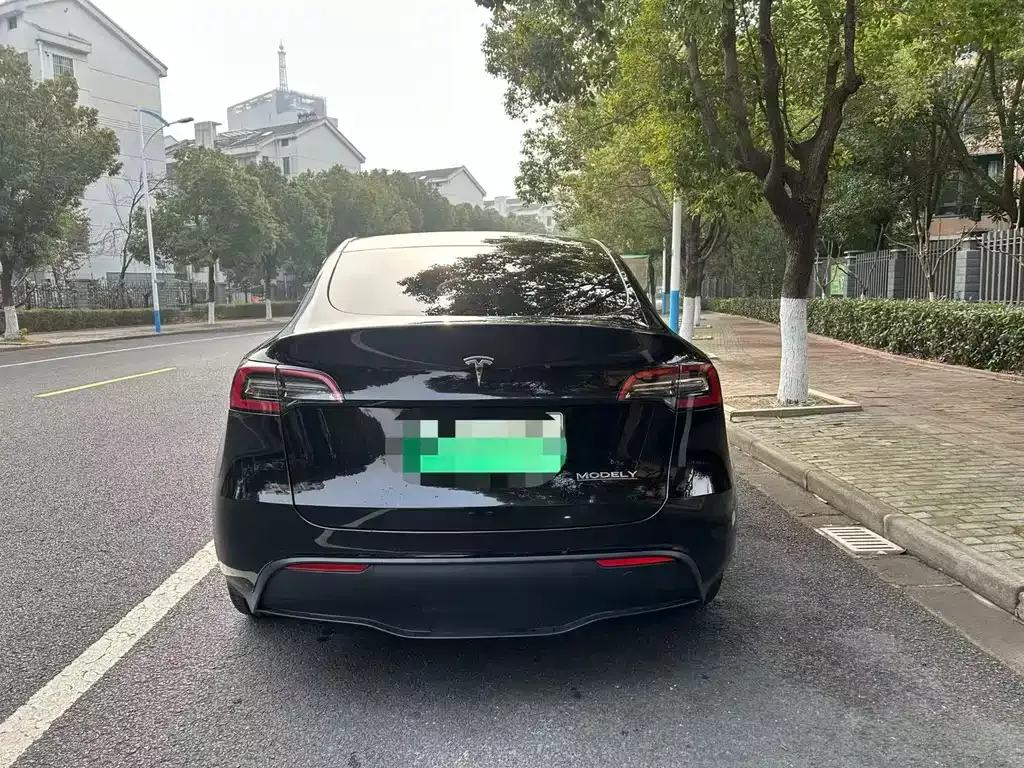 Tesla Model Y 2022 из CN, фото 9