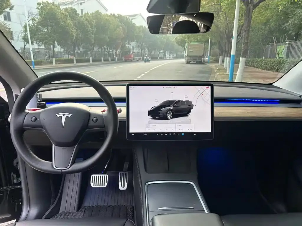 Tesla Model Y 2022 из CN, фото 5