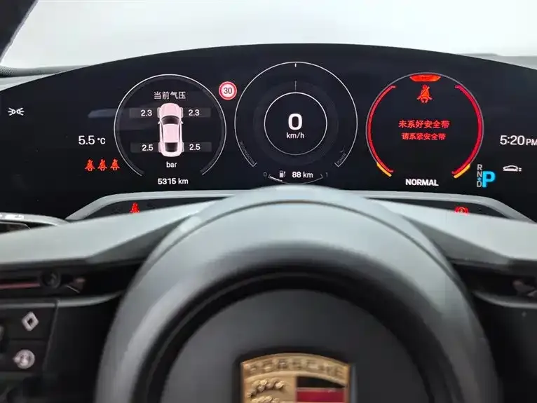 Porsche Taycan 2024 из CN, фото 4