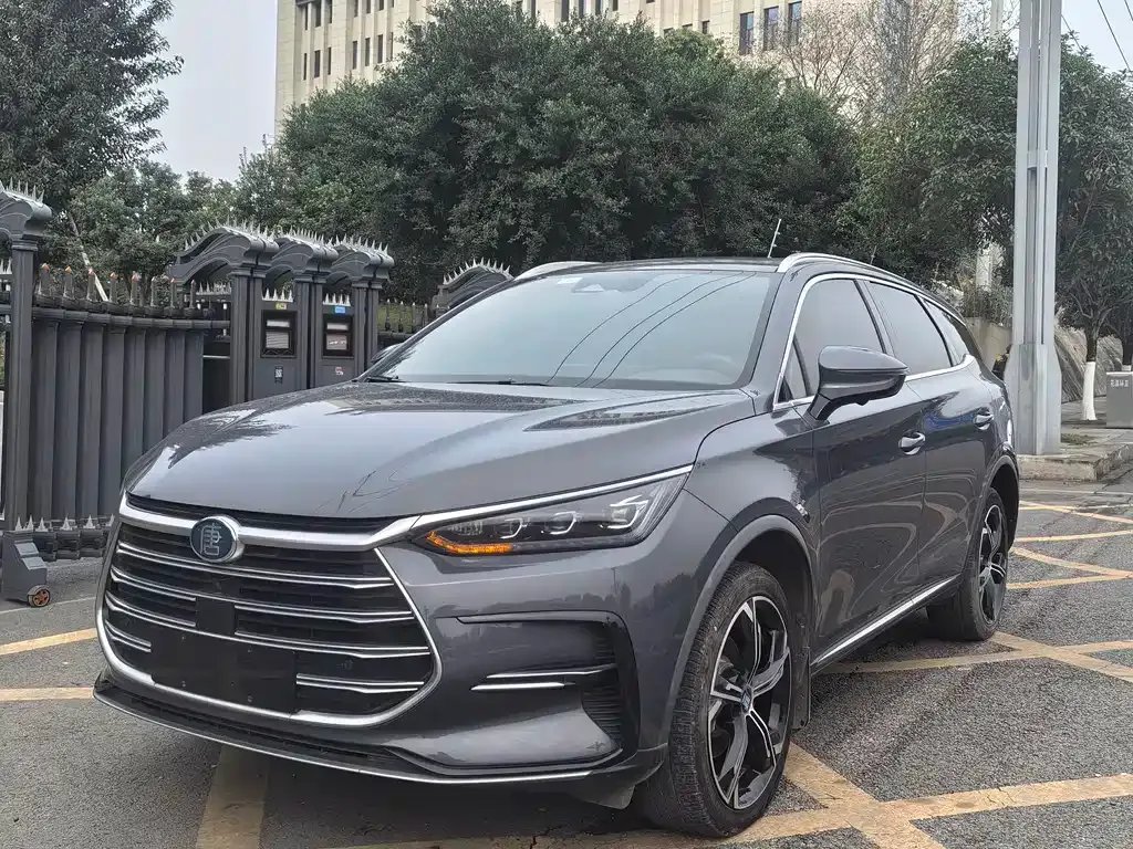 BYD Tang New Energy 2021 из CN, фото 1