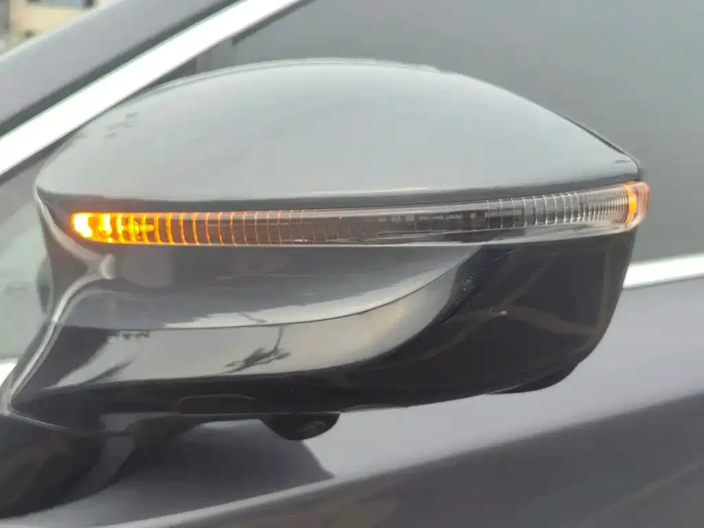 BYD Tang New Energy 2021 из CN, фото 2